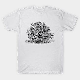 Graphic of a tree T-Shirt